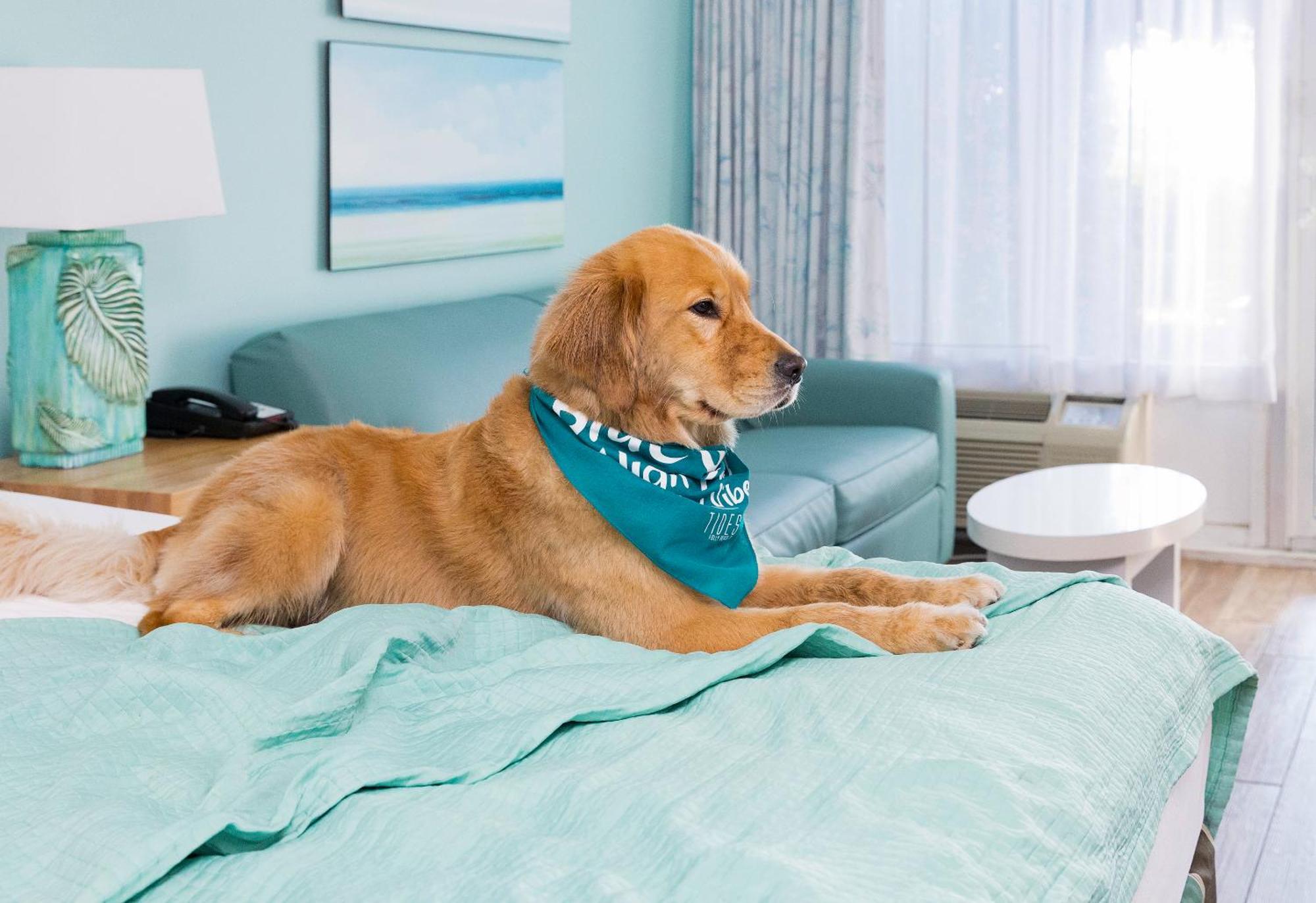 Tides Folly Beach, Charleston'S Oceanfront Hotel Extérieur photo
